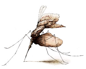 Lisandro Demarchi dibujante